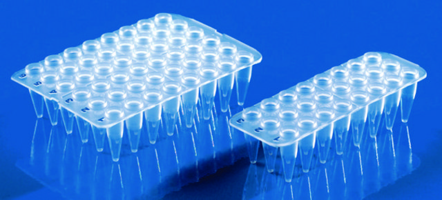 BRAND&#174; 24-well PCR plate no skirt, thin-walled, flexible, clear