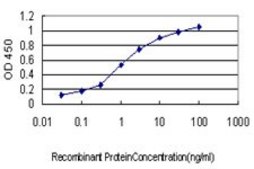 Monoclonal Anti-EIF5A2 antibody produced in mouse clone 1E7, purified immunoglobulin, buffered aqueous solution