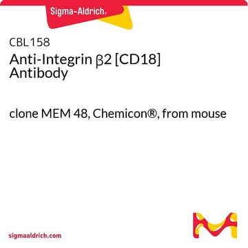 Anti-Integrin &#946;2 [CD18] Antibody clone MEM 48, Chemicon&#174;, from mouse