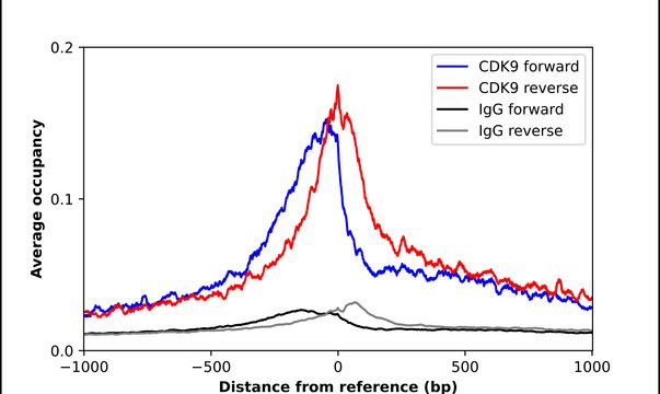 Anti-CDK9 antibody produced in rabbit Prestige Antibodies&#174; Powered by Atlas Antibodies, affinity isolated antibody, buffered aqueous glycerol solution