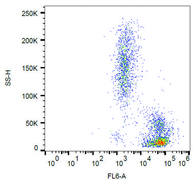Monoclonal Anti-CD102 antibody produced in mouse clone CBR-IC2/2