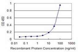 Monoclonal Anti-PANX1, (C-terminal) antibody produced in mouse clone 2E3, purified immunoglobulin, buffered aqueous solution
