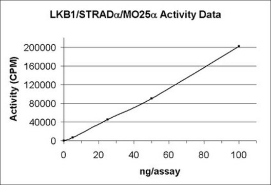 LKB1/STRAD&#945;/MO25&#945; Protein, active, 10 &#181;g Active, recombinant full-length human LKB1 with an N-terminal 6His tag. Provided as a complex with GST-STRAD&#945; &amp; GST-MO25&#945;. For use in Kinase Assays.