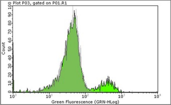 Anti-CD19 Antibody, clone HD37 clone HD37, Chemicon&#174;, from mouse