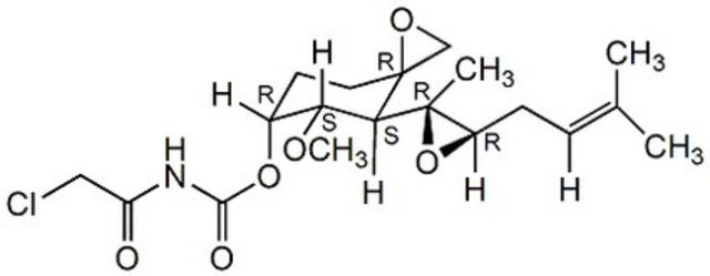 TNP-470 A cell-permeable Fumagillin analog that inhibits MetAP2, but not MetAP1, methionine aminopeptidase activity, without affecting the inhibitory activity of MetAP2 against HRI- catalyzed eIF-2&#945; phosphorylation.