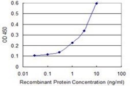 ANTI-ISL1 antibody produced in mouse clone 4A7, purified immunoglobulin, buffered aqueous solution