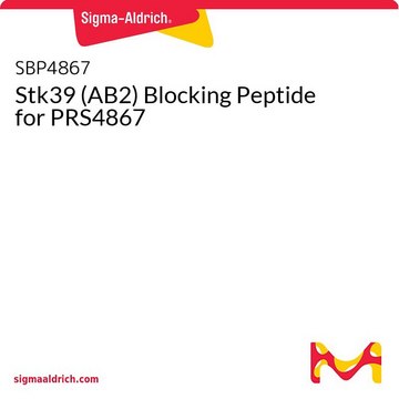 Stk39 (AB2) Blocking Peptide for PRS4867