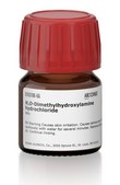 N,O-Dimethylhydroxylamine hydrochloride 98%