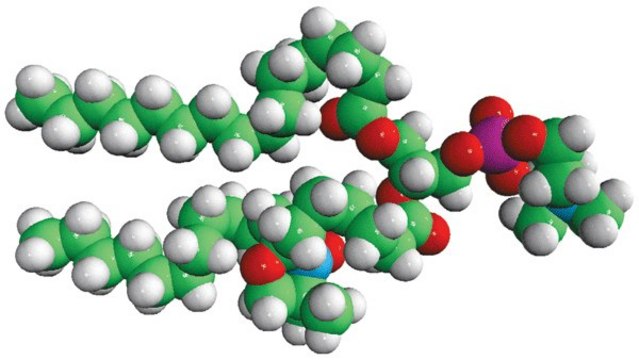 16:0-7 Doxyl PC Avanti Research&#8482; - A Croda Brand 810602P, powder