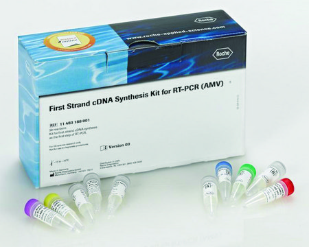 First Strand cDNA Synthesis Kit for RT-PCR (AMV) sufficient for 30&#160;reactions (including 5 control reactions), kit of 1 (10 components), suitable for RT-PCR, hotstart: no, dNTPs included