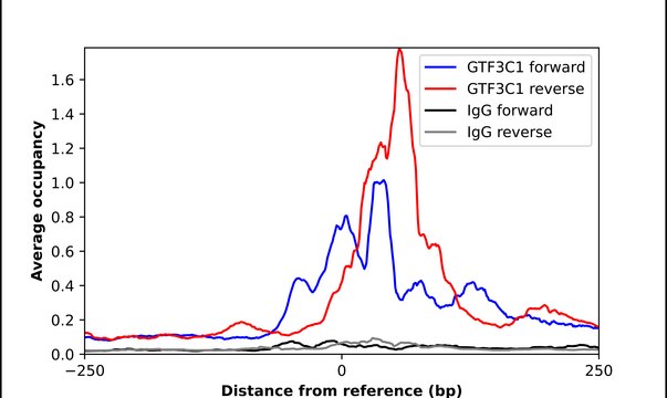 Anti-GTF3C1 antibody produced in rabbit Prestige Antibodies&#174; Powered by Atlas Antibodies, affinity isolated antibody, buffered aqueous glycerol solution