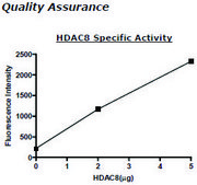 HDAC-8 human recombinant, expressed in baculovirus infected insect cells, &#8805;80% (SDS-PAGE)