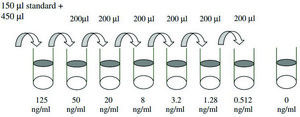 Human Follistatin ELISA Kit for serum, plasma, cell culture supernatant and urine