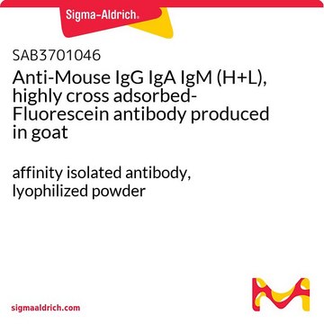 Anti-Mouse IgG IgA IgM (H+L), highly cross adsorbed-Fluorescein antibody produced in goat affinity isolated antibody, lyophilized powder