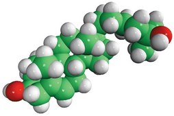 25-hydroxycholesterol Avanti Research&#8482; - A Croda Brand
