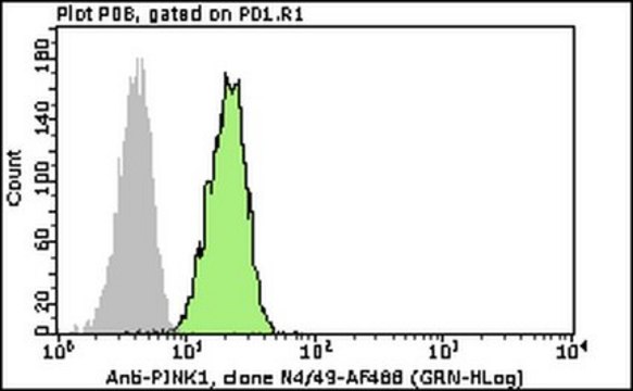 Milli-Mark&#174; Anti-PINK1-Alexa Fluor 488 Antibody, clone N4/49 clone N4/49, Milli-Mark&#174;, from mouse
