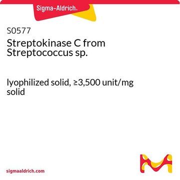 Streptokinase C from Streptococcus sp. lyophilized solid, &#8805;3,500&#160;unit/mg solid