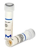 Listeria monocytogenes serovar 4b WDCM 00021 Vitroids&#8482; 80-130 CFU mean value range, certified reference material, suitable for microbiology, Manufactured by: Sigma-Aldrich Production GmbH, Switzerland