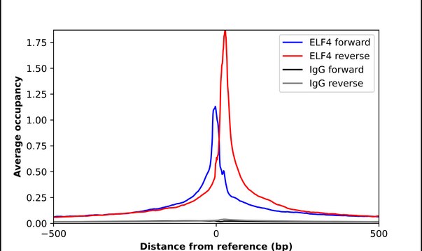 Anti-ELF4 antibody produced in rabbit Prestige Antibodies&#174; Powered by Atlas Antibodies, affinity isolated antibody
