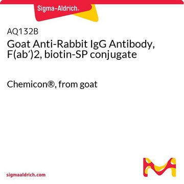 Goat Anti-Rabbit IgG Antibody, F(ab&#8242;)2, biotin-SP conjugate Chemicon&#174;, from goat