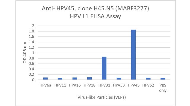 Anti- HPV45 Antibody, clone H45.N5