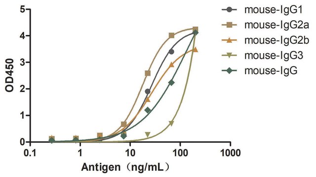 Alpaca Anti-Mouse IgG(H+L) single domain Antibody recombinant Alpaca(VHH) Nano antibody