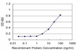 ANTI-PAX8 antibody produced in mouse clone 1A6, purified immunoglobulin, buffered aqueous solution