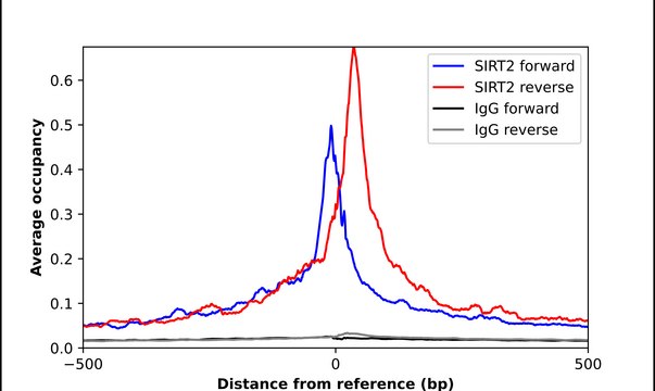 Anti-SIRT2 antibody produced in rabbit Prestige Antibodies&#174; Powered by Atlas Antibodies, affinity isolated antibody, buffered aqueous glycerol solution