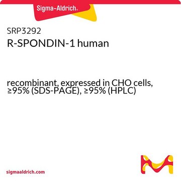 R-SPONDIN-1 human recombinant, expressed in CHO cells, &#8805;95% (SDS-PAGE), &#8805;95% (HPLC)