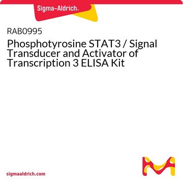 Phosphotyrosine STAT3 / Signal Transducer and Activator of Transcription 3 ELISA Kit