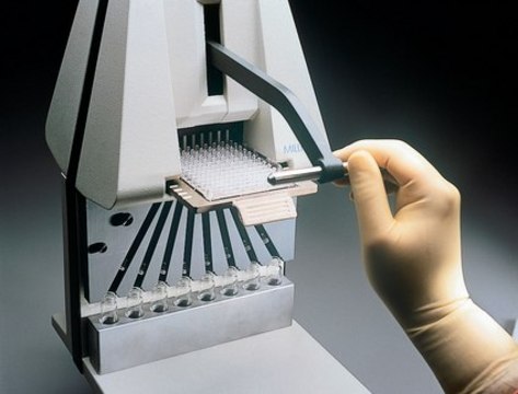 MultiScreen Multiple Punch Radionucleotide counting by transfer of individual filters to tubes