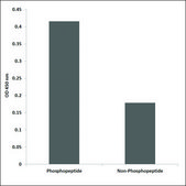 Anti-phospho-CD3 &#950; (pTyr142) antibody produced in rabbit affinity isolated antibody