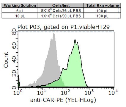 Milli-Mark&#174; Anti-CAR-PE Antibody, clone RmcB clone RmcB, Milli-Mark&#174;, from mouse