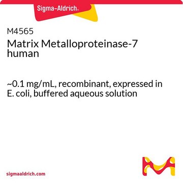 Matrix Metalloproteinase-7 human ~0.1&#160;mg/mL, recombinant, expressed in E. coli, buffered aqueous solution