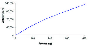 RIPK3, active, GST tagged human PRECISIO&#174;, recombinant, expressed in baculovirus infected Sf9 cells, &#8805;70% (SDS-PAGE), buffered aqueous glycerol solution