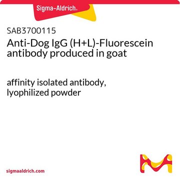 Anti-Dog IgG (H+L)-Fluorescein antibody produced in goat affinity isolated antibody, lyophilized powder