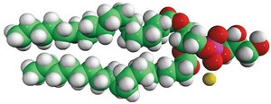 18:0-18:1 PG 1-stearoyl-2-oleoyl-sn-glycero-3-phospho-(1&#8242;-rac-glycerol) (sodium salt), chloroform