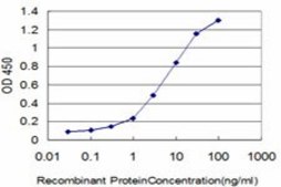 ANTI-FGR antibody produced in mouse clone 3F2, purified immunoglobulin, buffered aqueous solution