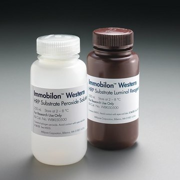 Immobilon Western Chemiluminescent HRP Substrate Immobilon Western HRP Substrate provides high sensitivity for Chemiluminescent detection in western or dot/slot/spot blotting applications on both PVDF and nitrocellulose membranes, and is compatible with all commonly used buffers and blocking reagents.