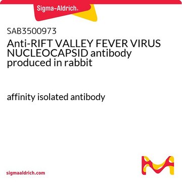 Anti-RIFT VALLEY FEVER VIRUS NUCLEOCAPSID antibody produced in rabbit affinity isolated antibody