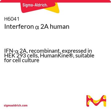 Interferon &#945; 2A human IFN-&#945; 2A, recombinant, expressed in HEK 293 cells, HumanKine&#174;, suitable for cell culture