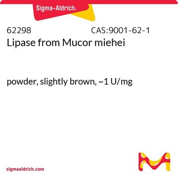 Lipase from Mucor miehei powder, slightly brown, ~1&#160;U/mg