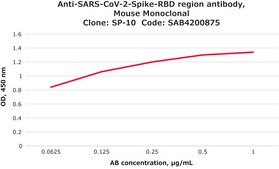 Anti-SARS-COV-2-Spike-RBD region antibody, Mouse monoclonal clone SP-10, purified from hybridoma cell culture