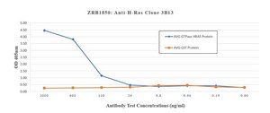 Anti-H-Ras Antibody, clone 3B13 ZooMAb&#174; Rabbit Monoclonal recombinant, expressed in HEK 293 cells