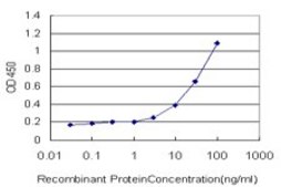 ANTI-SERPINA6 antibody produced in mouse clone 3B12, purified immunoglobulin, buffered aqueous solution