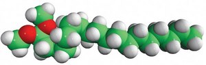 18:0 dimethylacetal octadecanal-dimethylacetal, chloroform
