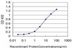 Monoclonal Anti-FLT4 antibody produced in mouse clone 5B5, purified immunoglobulin, buffered aqueous solution