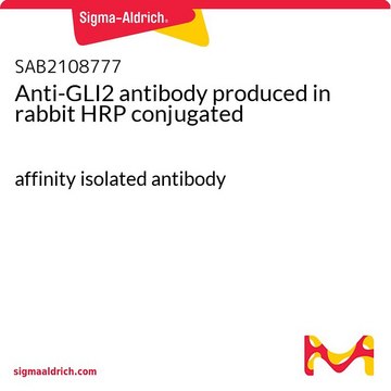 Anti-GLI2 antibody produced in rabbit HRP conjugated affinity isolated antibody