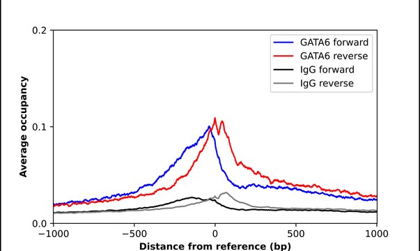 Anti-GATA6 antibody produced in rabbit Prestige Antibodies&#174; Powered by Atlas Antibodies, affinity isolated antibody