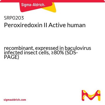 Peroxiredoxin II Active human recombinant, expressed in baculovirus infected insect cells, &#8805;80% (SDS-PAGE)